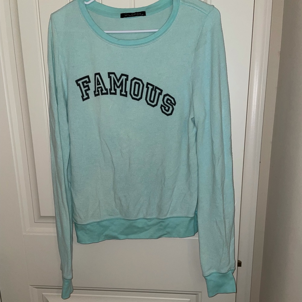 XS Wildfox long sleeve shirt, light blue